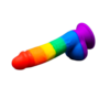 Andrew Christian TROPHY BOY Rainbow 19cm Boy Toy JUNIOR Dildo