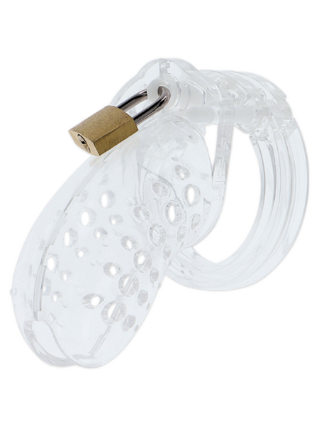 Extreme Chastity Cock Cage Acrylic