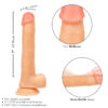 Working Stiff The Cabana Boy CalExotics Dildo – Bild 8